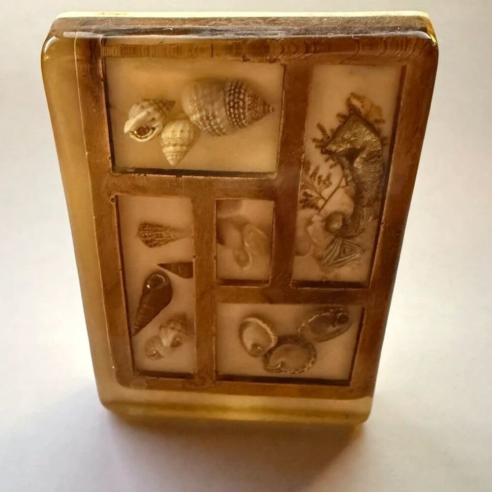 Vintage 1970s Resin Toothpick Holder Real Seashell Lucite Retro Kitsch